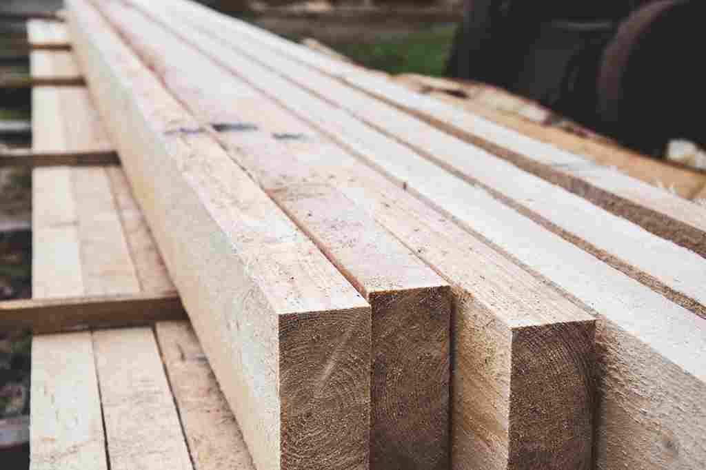 Timber Sale 1